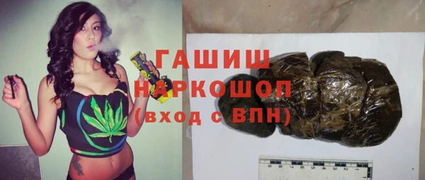 PSILOCYBIN Горняк