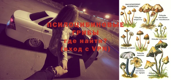 ГАЛЛЮЦИНОГЕННЫЕ ГРИБЫ Горно-Алтайск