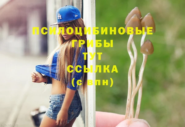 альфа пвп Вяземский