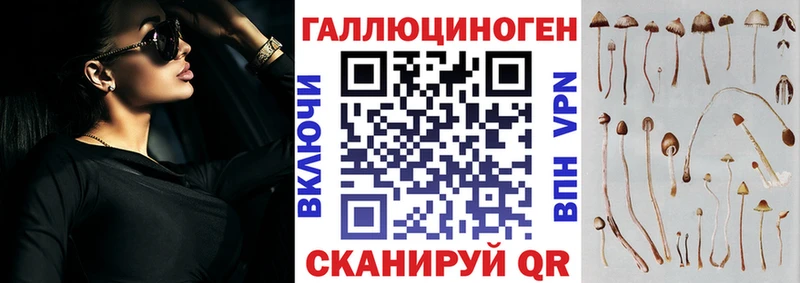 где можно купить наркотик  Дзержинский  Галлюциногенные грибы прущие грибы 